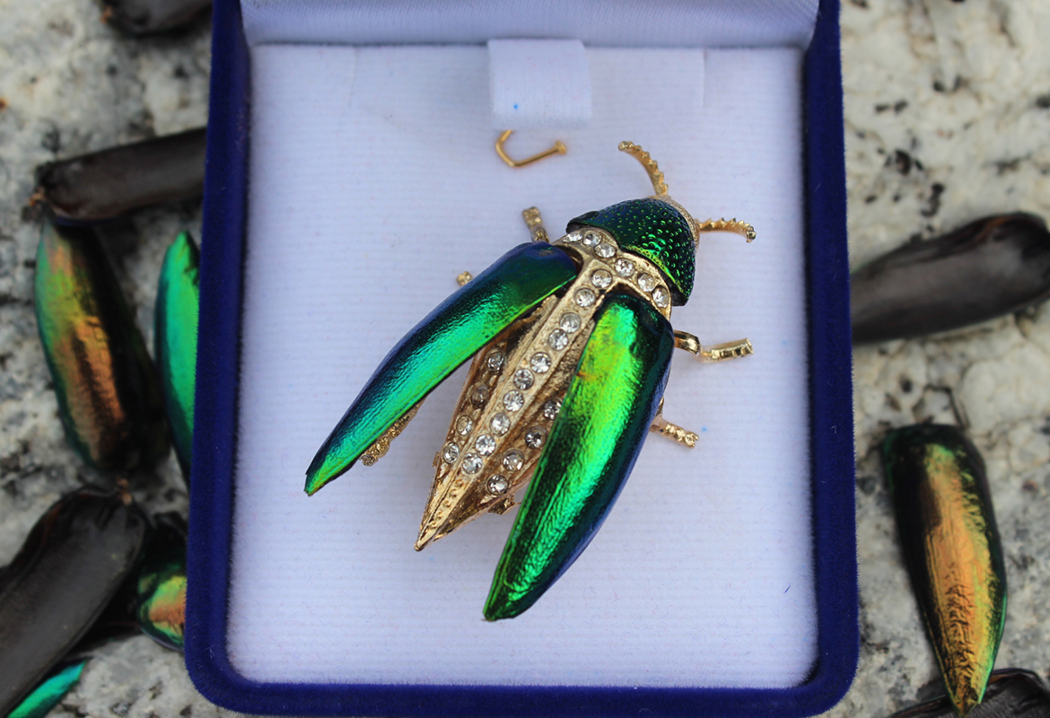 Beetlewing Pin Open Fancy - 850 baht
